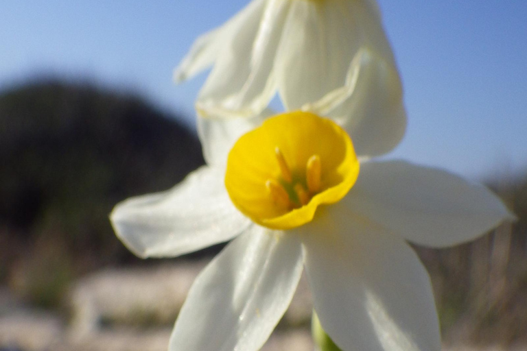Walk (usually upto 10 km) and explore around Cape Greco 8-hour trip - Walk (usually upto 10 km) & explore Cape Greco
