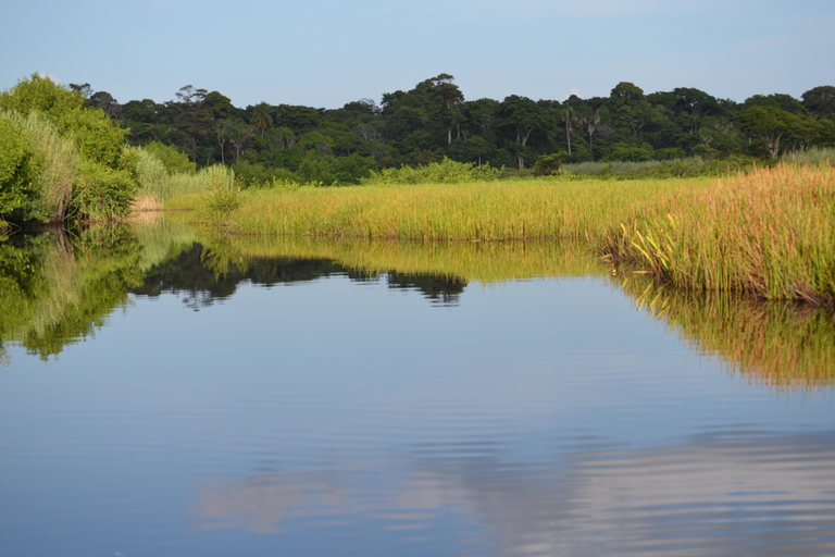 Pantano de Nariva: Experiencia de observación de monos
