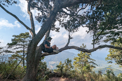 Randonnée au lever du soleil à Chiangmai