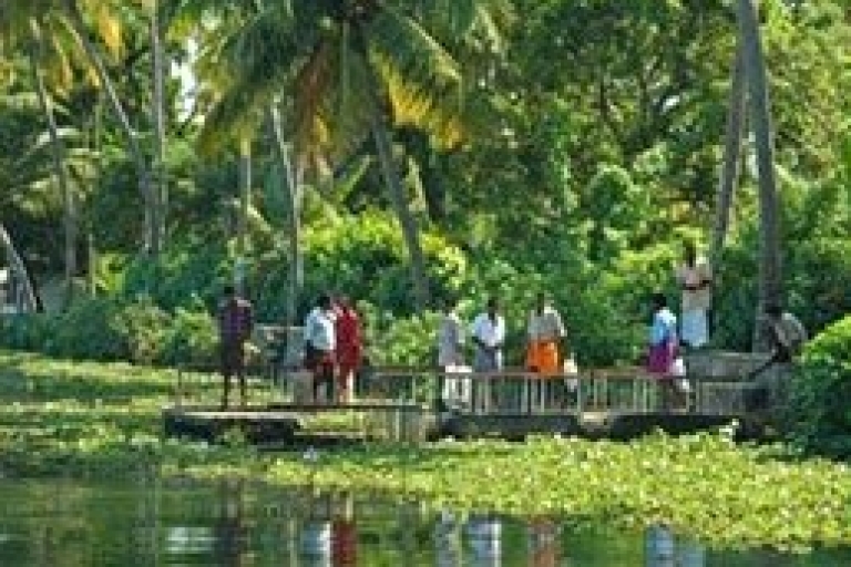 Cochin: Croisière privée d'une journée dans le backwater Alleppey en pénicheCroisière avec péniche de luxe + prise en charge au port de croisière