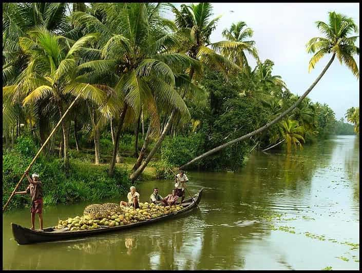 Cochin: Alleppey Backwater Private Day Cruise Mit Dem Hausboot ...