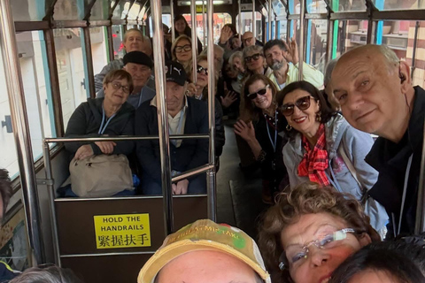 Kyoto: A Curated Journey Into Japan’s Cultural Heart