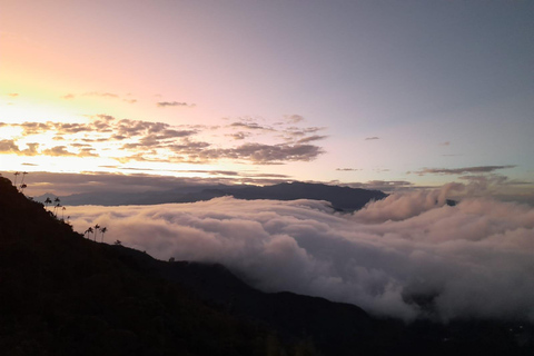 Minca: Cerro Kennedy and La Victoria Coffee Farm Tour