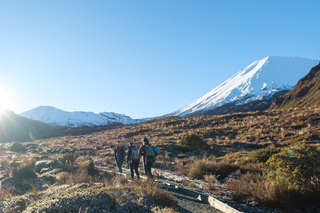 Day Trips and Tours from Taupo