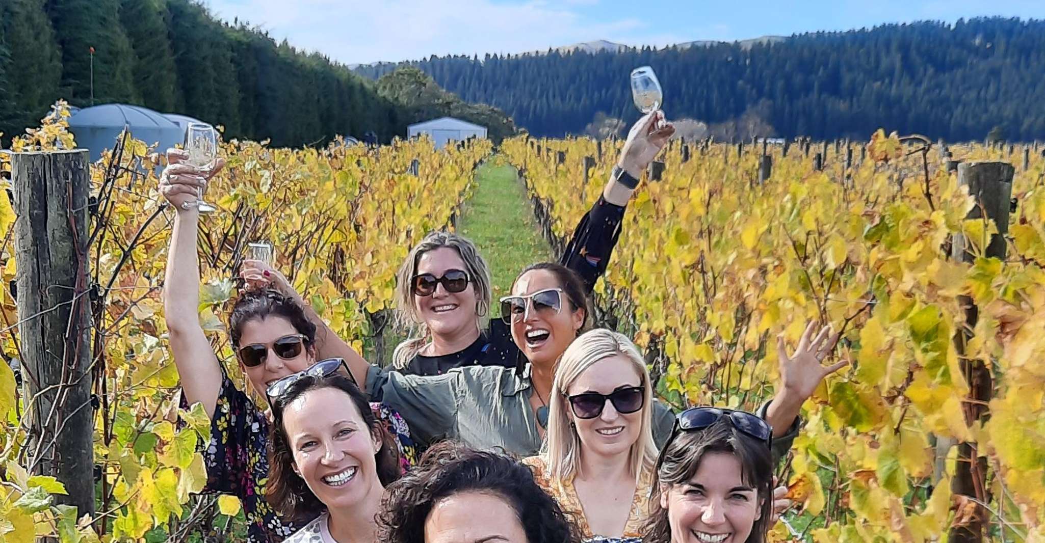 Martinborough Winery Tour - Hizvo