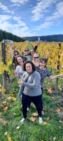 Tour de Bodegas de Martinborough - Hizvo