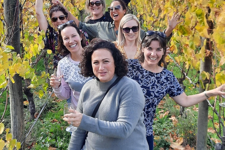 Martinborough : visite guidée de la région viticoleVisite guidée de groupe
