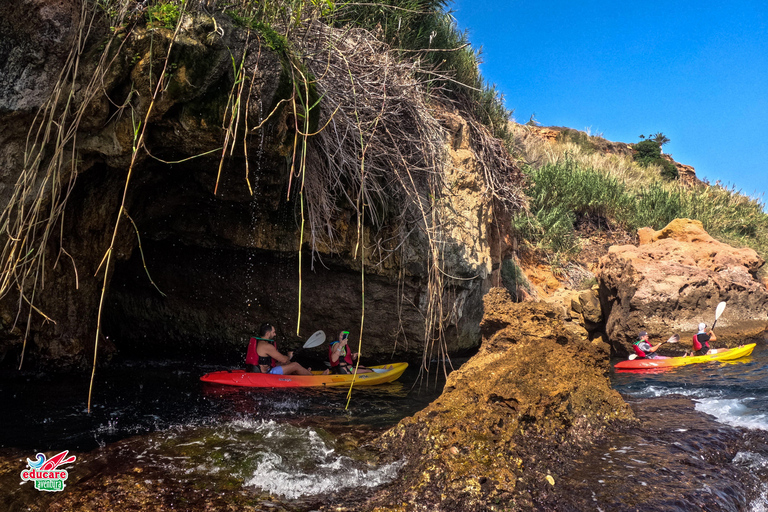 Nerja: Self-Guided Kayak Tour. Maro Waterfall. Support boat for the route.