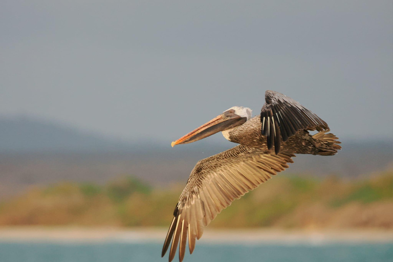 Galapagos landtur 3 öar (5 dagar)