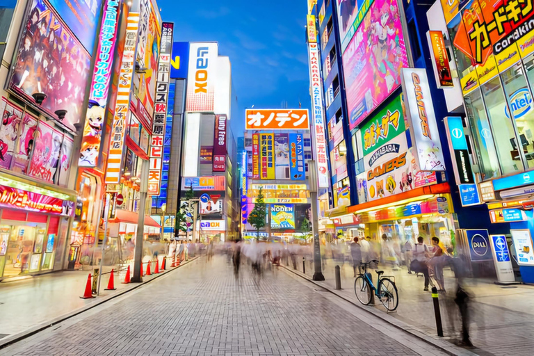Tokyo, Mt. Fuji, Kyoto, Osaka: 7-Day Private Tour of Japan