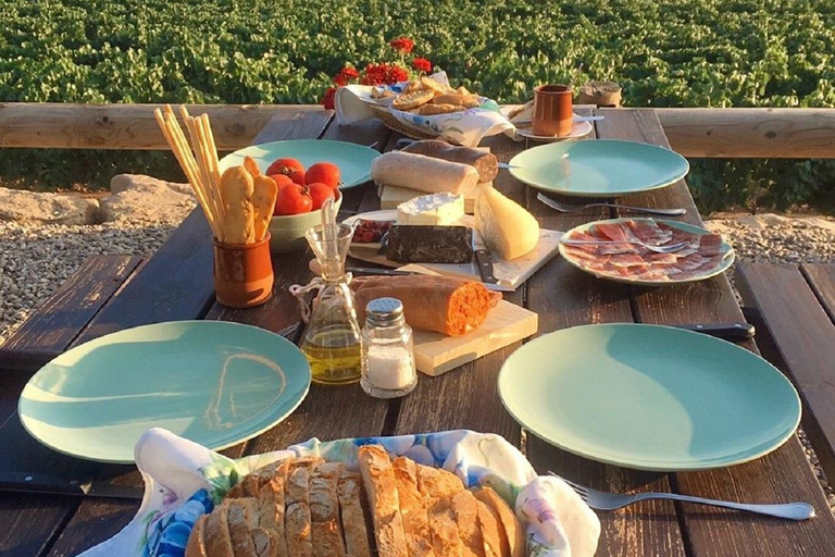 From Barcelona: 3 wineries with hotel pick-up and Lunch From Barcelona: Wine and Cava Tour with Tastings and Lunch