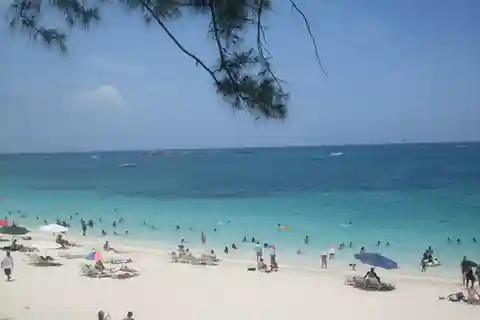 Nassau Sightseeing Bus Tour