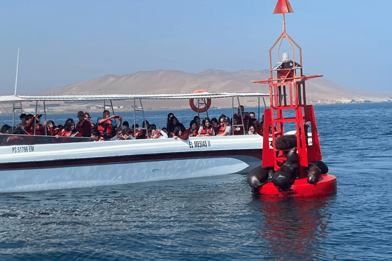 Paracas: Ballestas Islands Morning Boat Tour