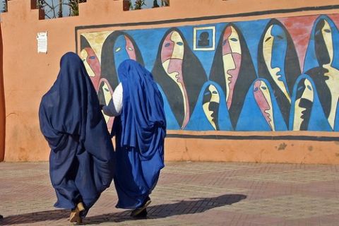 Ab Agadir: Halbtägige Tour zur Oasenstadt Taroudant