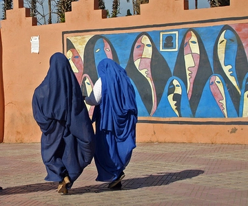 Vanuit Agadir: Halfdaagse tour naar Taroudant
