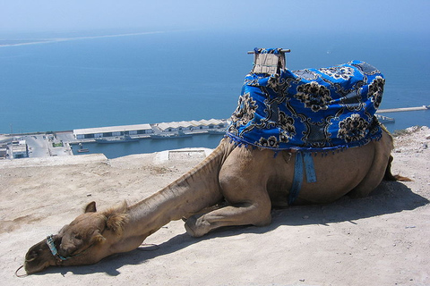 Desde Agadir o el Puerto : Visita de la ciudadDesde los hoteles o el puerto de Agadir: Visita de la ciudad