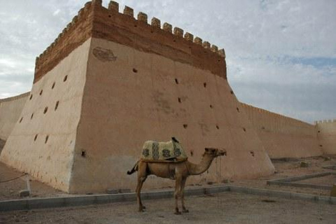 Desde Agadir o el Puerto : Visita de la ciudadDesde los hoteles o el puerto de Agadir: Visita de la ciudad