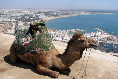 Desde Agadir o el Puerto : Visita de la ciudadDesde los hoteles o el puerto de Agadir: Visita de la ciudad