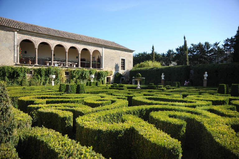From Lisbon: Serra da Arrábida, Sesimbra, and Setúbal Wines Exclusive Private Tour
