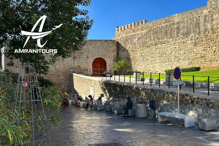 Public tour of Tangier picked up from the cruise