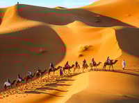 Van Marrakech 3-daagse Sahara Tour naar Merzouga met/ accommodatie - Housity