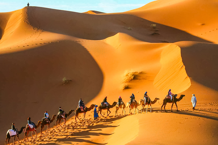 Marrakech: 3-Day Sahara Desert Tour to Merzouga Tour Ending in Fez without Quad Bike