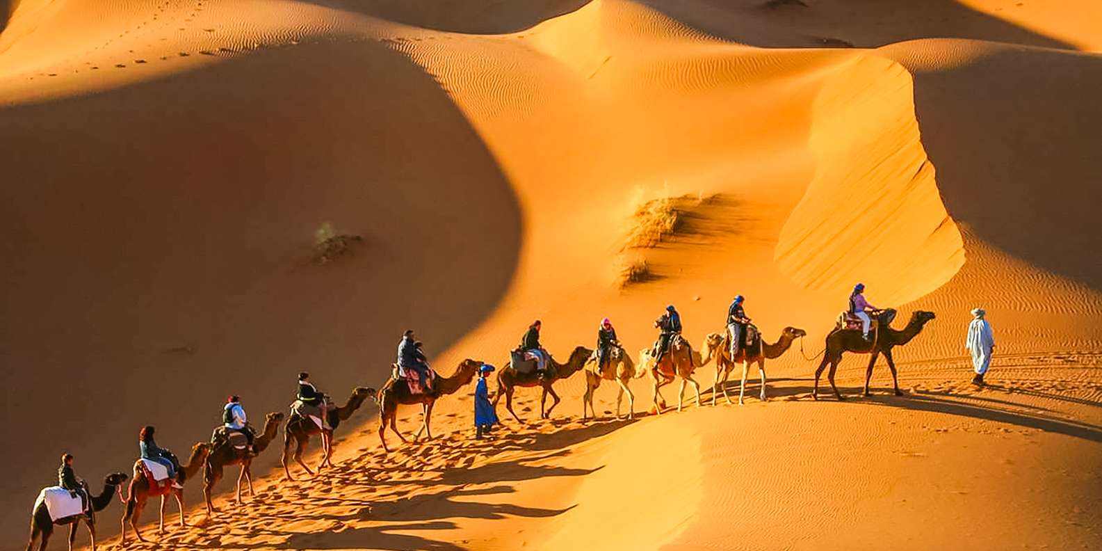 マラケシュからメルズーガまでの3日間のサハラ砂漠旅行 | GetYourGuide