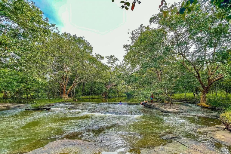 Sigiriya to Wilpattu Safari & Anuradhapura Cultural Day Tour