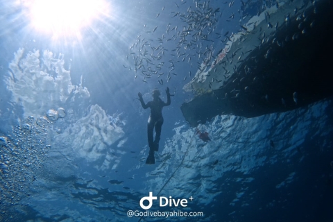 Bayahibe Los Melones - Excursión de snorkel - Go Dive