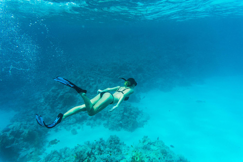 Comino: Båtkryssning till Blue Lagoon, Crystal Lagoon och grottor