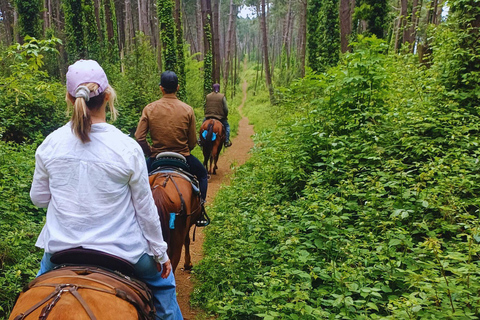 Sorrento: 3-godzinna przejażdżka konna po półwyspie Sorrento