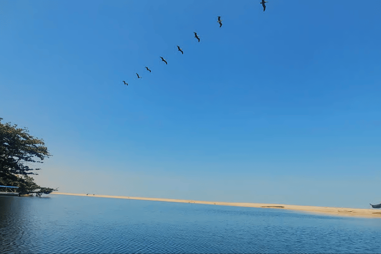 Santa Marta : excursion en paddleboard sur la rivière Don Diego et visite d'une chocolaterieSanta Marta : excursion en paddleboard sur la rivière Don Diego et dégustation de cho