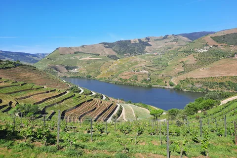 Von Porto: Geführte Tour in kleiner Gruppe durch das Douro-Tal und Gerês