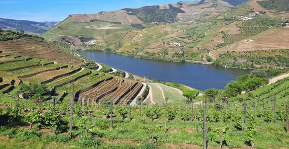 Depuis Porto : Tour guidé en petit groupe de la vallée du Douro et de Gerês