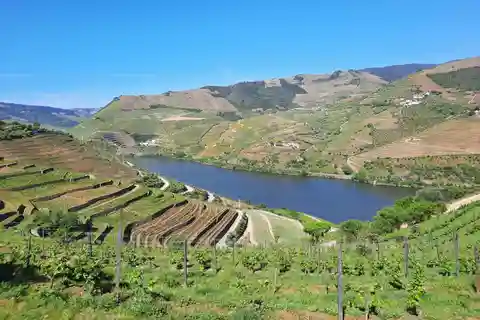 Desde Oporto: Visita guiada en grupo reducido al Valle del Duero y Gerês