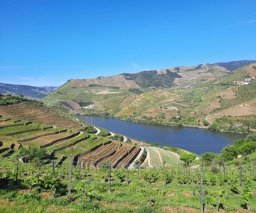 Desde Oporto: Visita guiada en grupo reducido al Valle del Duero y Gerês