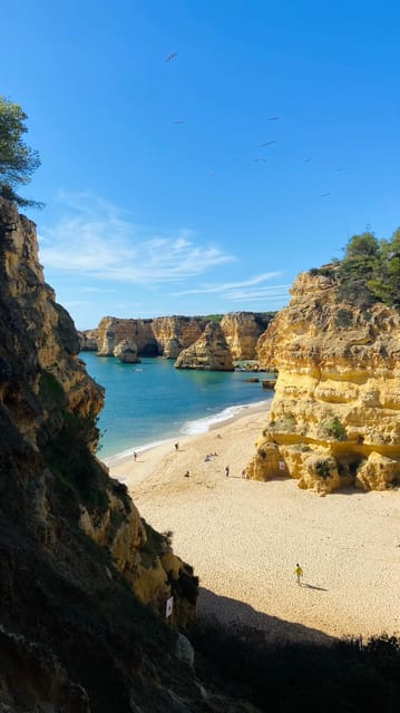 From Faro: Guided Caves, Beaches, Swimming & Hiking Day Tour | GetYourGuide