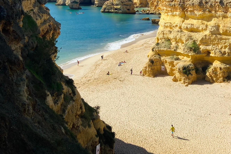 Från Faro: Benagil, Marinha, 7 dalar och Algar Seco Tour