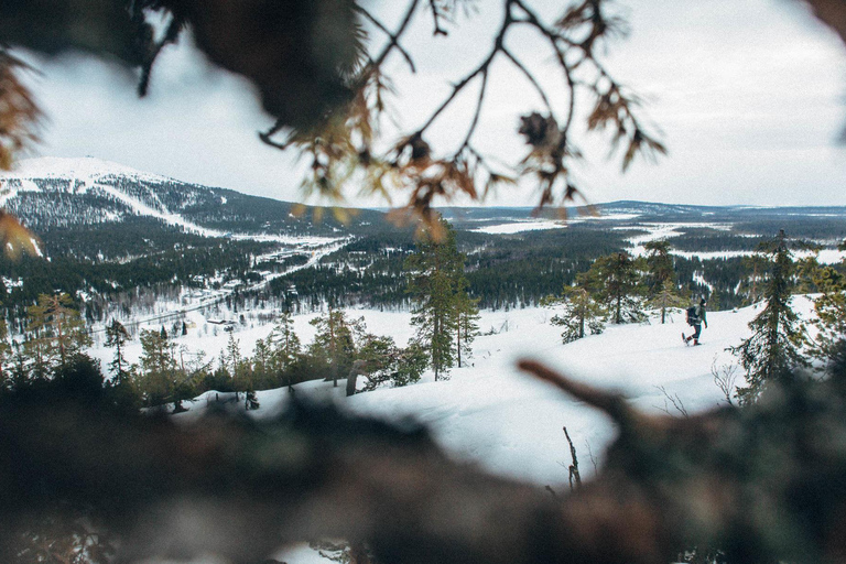 Winter Snowshoeing in the Finnish Wilderness