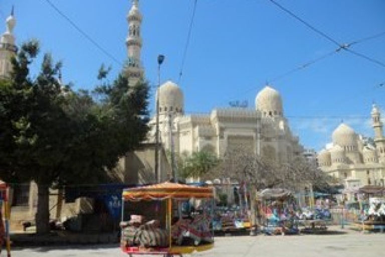 Desde El Cairo: tour privado de descubrimiento de día completo por Alejandría