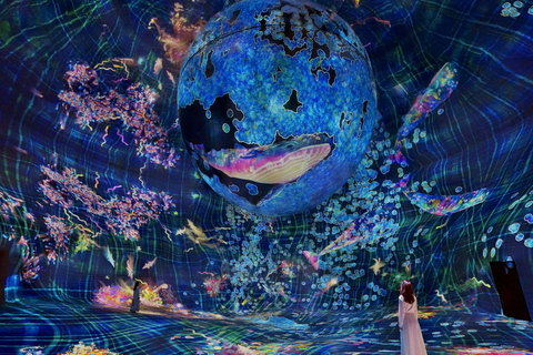 阿布扎比teamLab Phenomena门票（可选接送服务）阿布扎比幻境门票