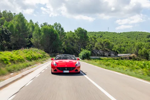 Ruta de medio día en supercoche por los viñedos catalanes