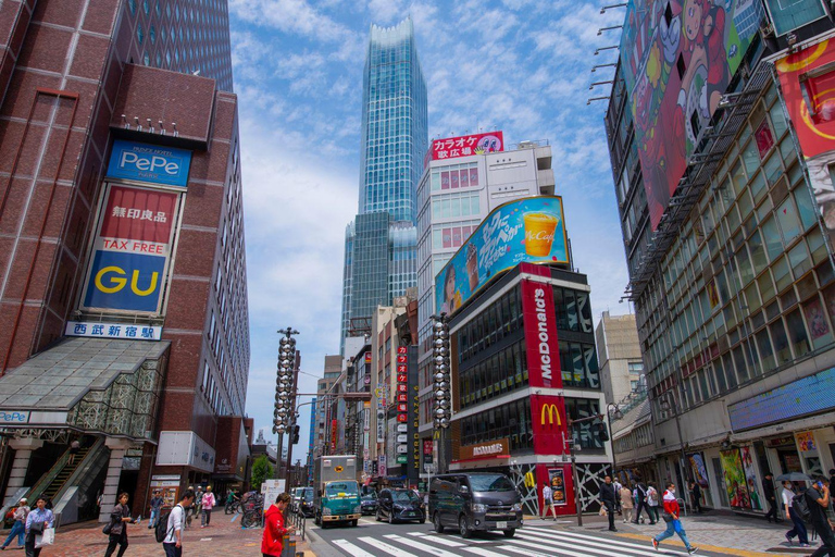Tokyo: Discover The City Your Way Half-Day Private Sightseeing Ride in Tokyo