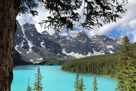 Calgary/Banff: Lake Louise, Moraine & Johnston Canyon Trip From Calgary