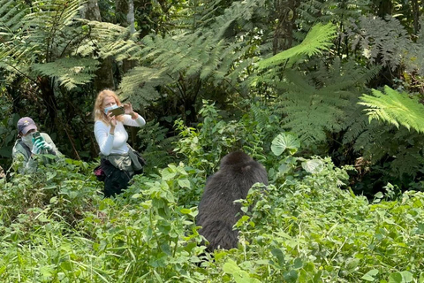 Circuit de 7 jours au Rwanda et en Ouganda, avec trekking et découverte de la faune et de la flore des primates