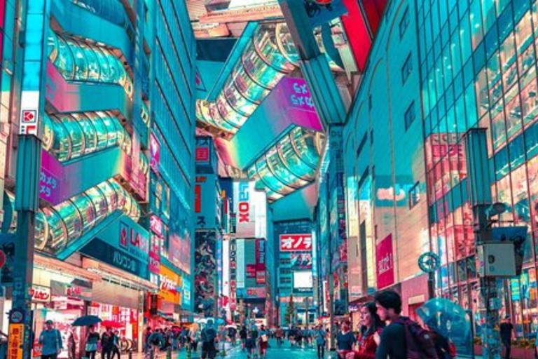 Tour privato di un giorno a Tokyo, personalizzato e indimenticabile 23 Ward