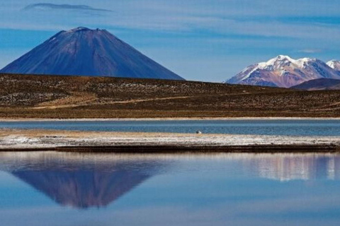 Arequipa: Colca Canyon 2 dagen en 1 nacht in Colca Canyo