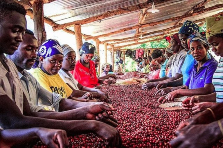 Kigali: tour della città e tour del caffè