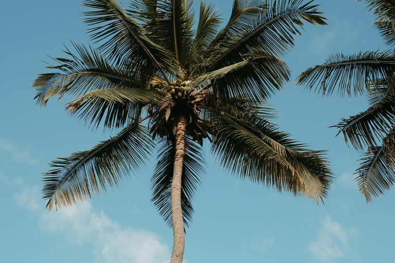 Z Praia: całodniowa wycieczka po wyspie Santiago z lunchemZ Praia: całodniowa wycieczka na wyspę Santiago z obiadem