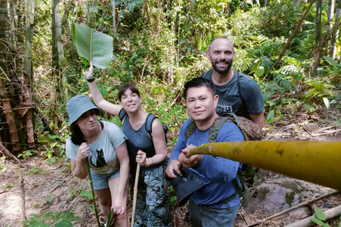 Chiang Rai: Hill Tribe Trek, Waterfall, & Hot Springs Tour